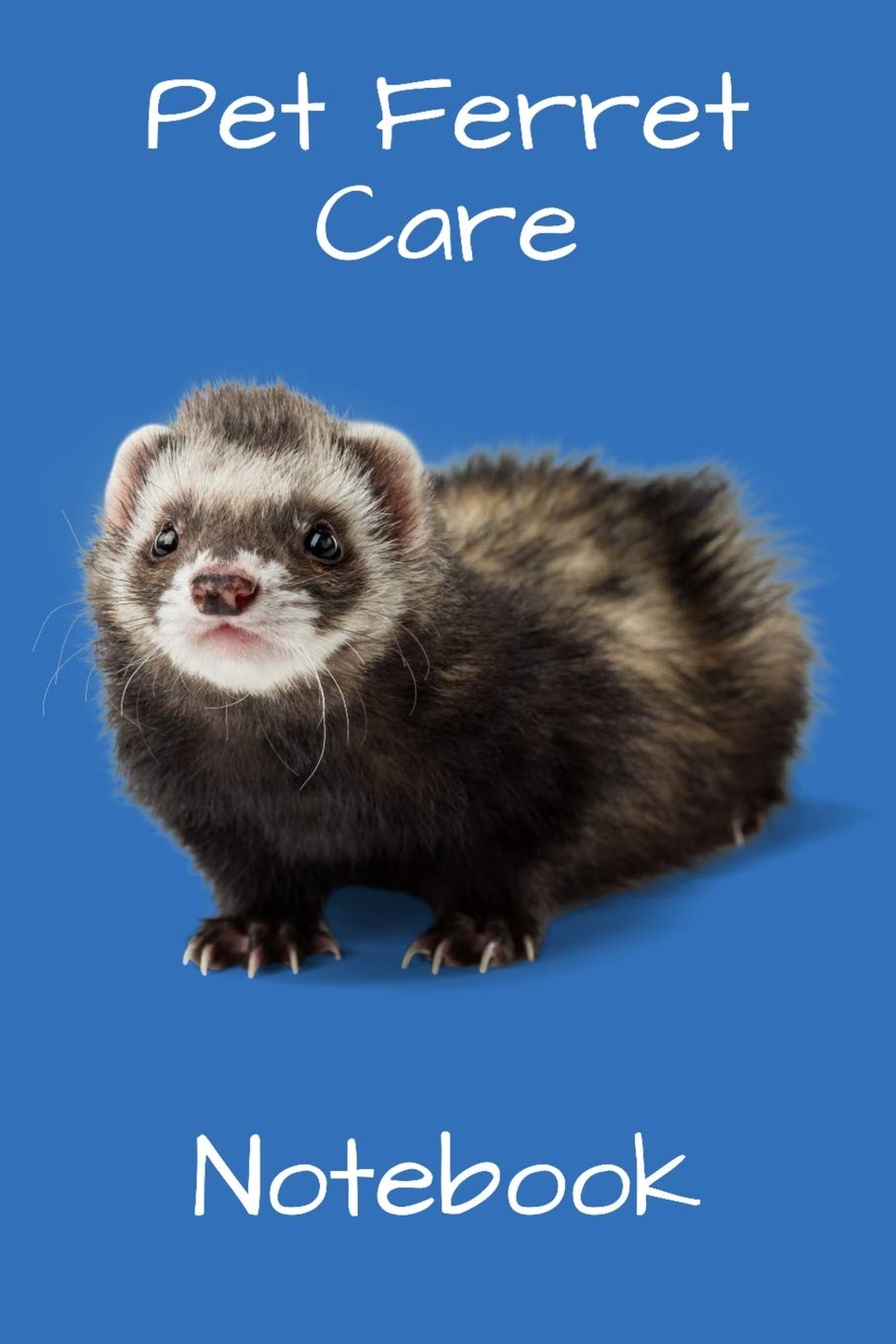 ferret accessories amazon