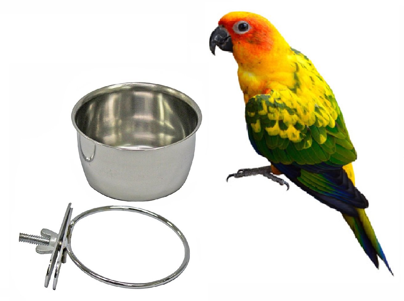 petall Bird Parrot Feeding Cups Cage Hanging Bowl Stainless Steel Perches with Clamp Holder - Bird Coop Cups Seed Water Food Dish Feeder Bowl 10 Ounce