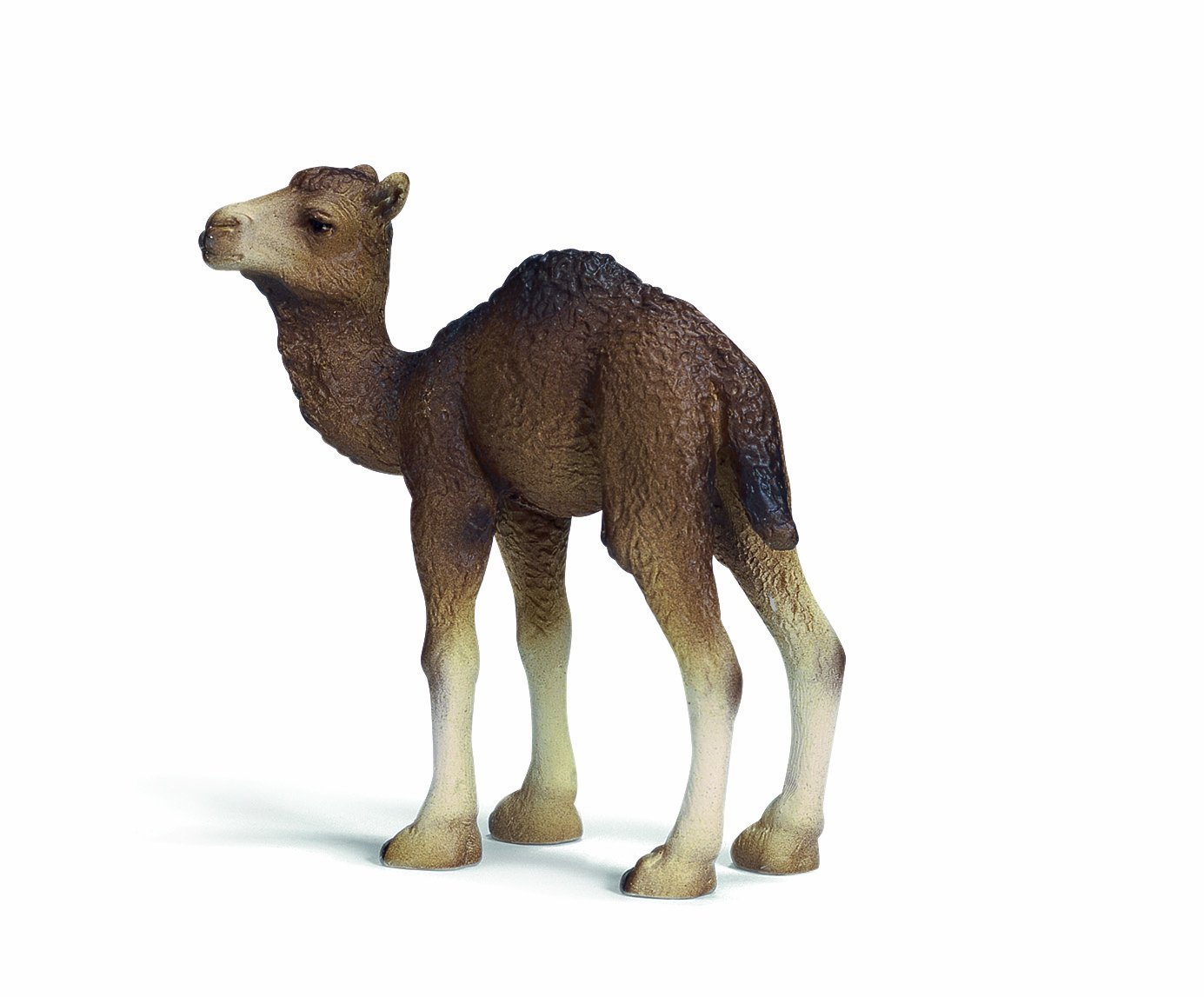 schleich camel