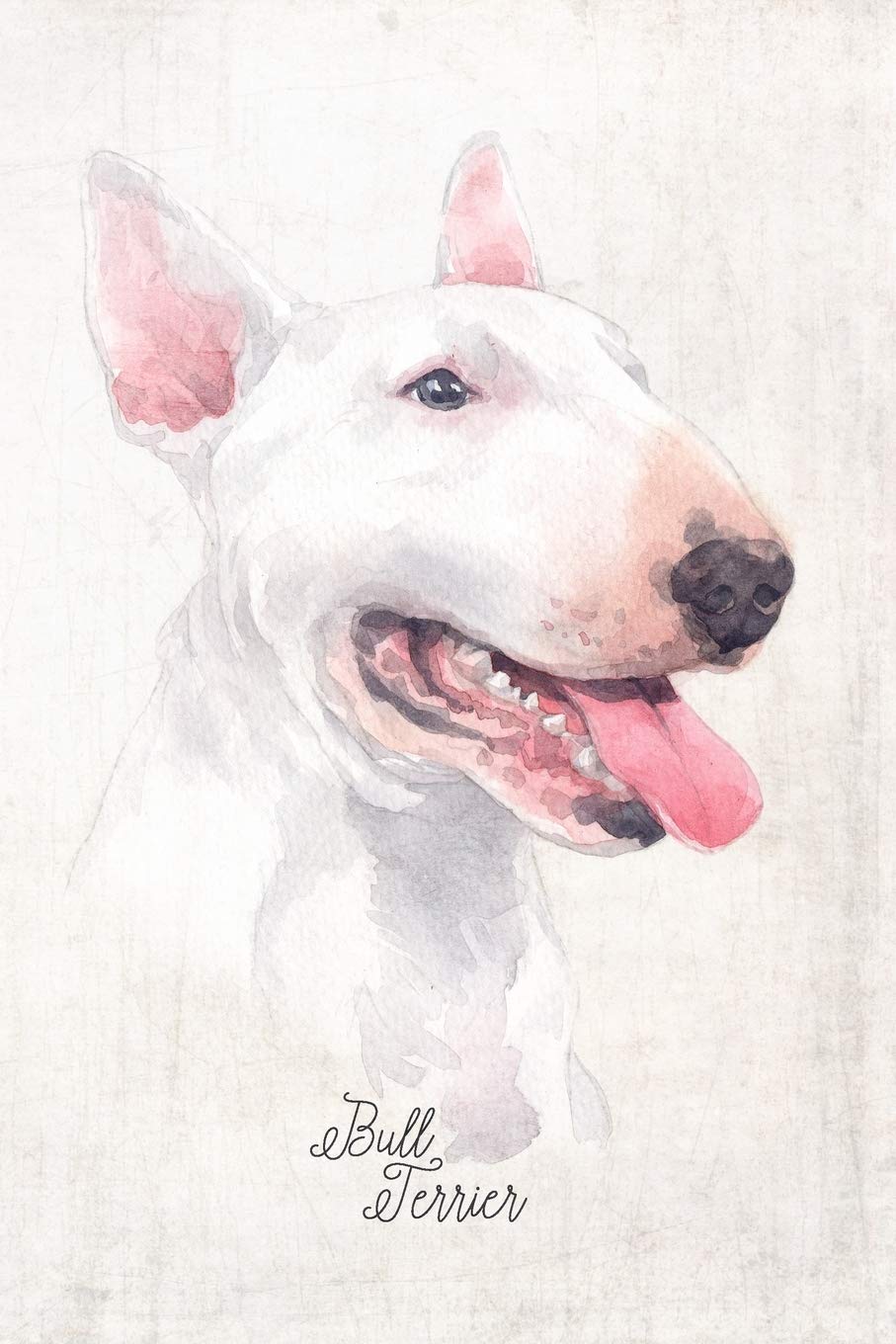 bull terrier lovers