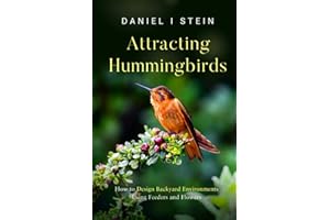 Attracting Hummingbirds: How to Design Backyard Environments Using Feeders and Flowers