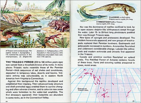 Fossils: A Fully Illustrated, Authoritative and Easy-to-Use Guide (A Golden Guide from St. Martin's Press) - Thumbnail 2