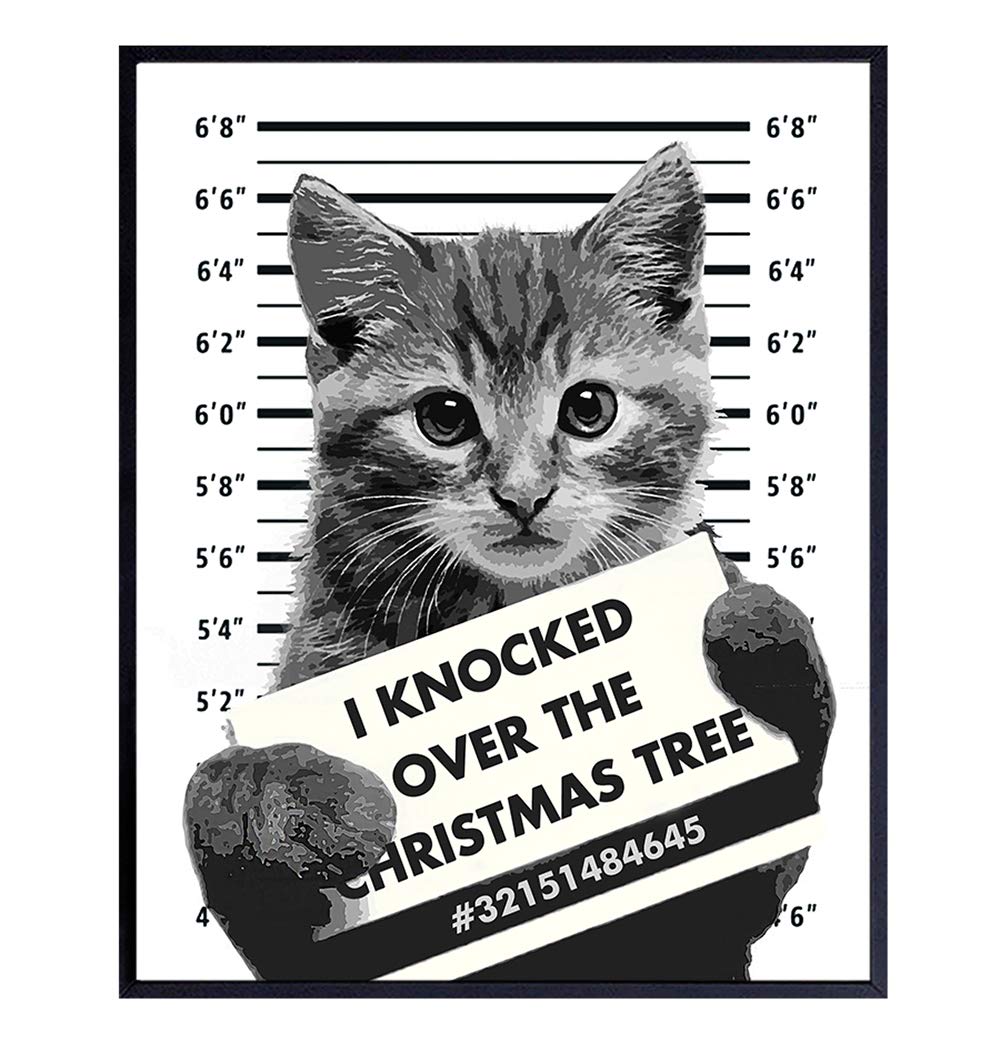 gag gifts for cat lovers