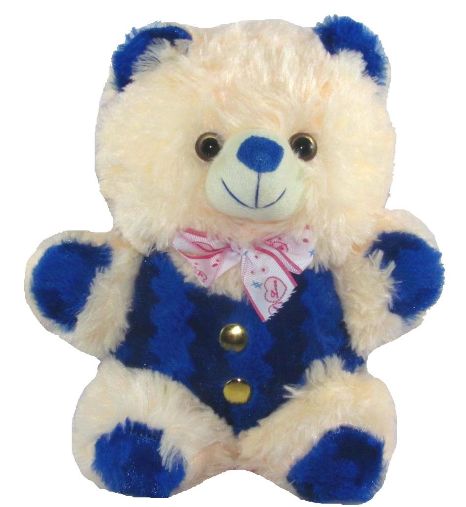 navy blue teddy