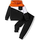 Vitalique 2-6T Toddler Baby Boy Clothes Color Blocking Hoodies + Pants Fall Winter Outfits