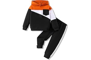 Vitalique 2-6T Toddler Baby Boy Clothes Color Blocking Hoodies + Pants Fall Winter Outfits