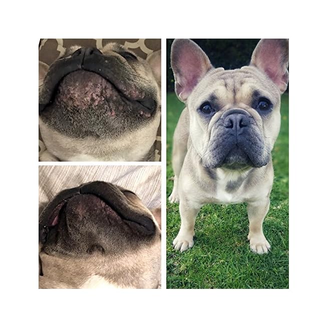 natural dog wrinkle balm