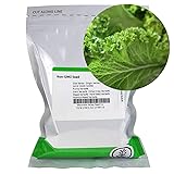 Organic Wasabi Mustard Garden Seeds - 1 Oz