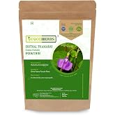 Foodherbs Ratna Purush Powder | 200g | Natural Hybanthus Enneaspermus Herb for Holistic Wellness &amp; Vitality | Ayurvedic Herb for Energy &amp; Digestion Support