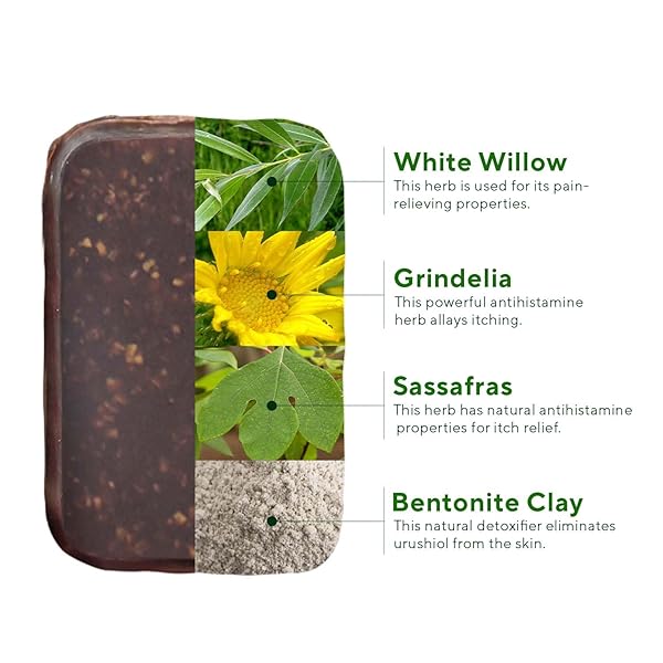 MARIE’S ORIGINAL POISON IVY SOAP BAR | ALL NATURAL POISON IVY TREATMENT | ANTI-ITCH SKIN CLEANSER BAR WASH FOR POISON IVY, POISON OAK & SUMAC | REMOVES OILS, SOOTHES & RELIEVES RASHES | 2.9 OUNCES