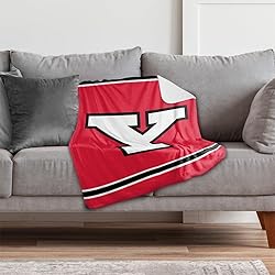Youngstown State Penguins Primary Logo Stripes