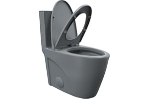 Eridanus Elongated One Piece Toilet with Powerful Siphon Dual Flush 1.1/1.6 GPF, 12" Rough-In Modern Bathroom Toilets with Comfort Soft Closing Seat Height 17", ADA Compliant Bowl, Dark Gray