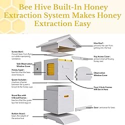 ACORNS Bee Hive Box Starter Kit, with 4 Beehive