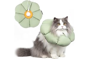 Cat Cone Collar,Cute Waterproof Cat Recovery Collar,Anti-Bite Lick Wound Healing Safety Elizabethan e Collar for Cats,Green F