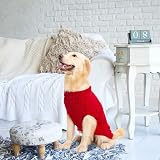 Mihachi Turtleneck Dog Jumper - Cable Knit Dog Sweater Winter Coat view 7