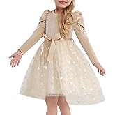 Luckrizyy Girls Velvet Christmas Dress Toddler Tulle Sequin Tutu Dresses Kids Winter Party Holiday Casual Princess Dress 2-7Y