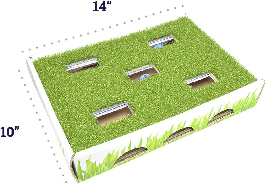 Grass Patch Hunting and Play Box Cat Ball Toy by Petstages : Pet Supplies