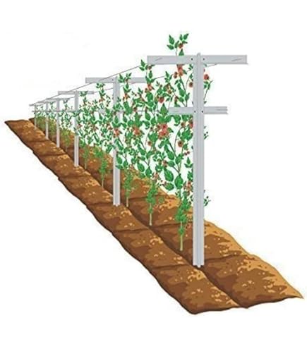 Amazon.com : MRGARDEN 7-Feet Adjustable Garden Trellis Set for