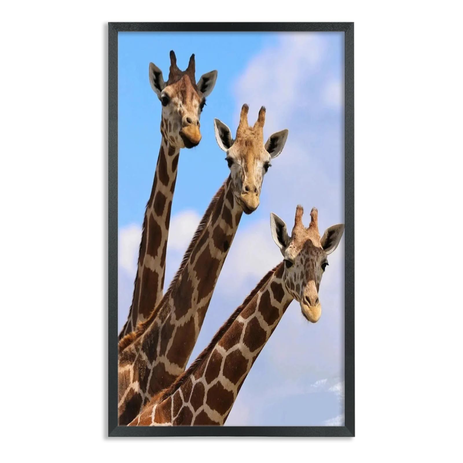 14x24 Inch Poster Frames Solid Wood 36x61cm Picture Frames 14x24 Inch Photo Frame Black, Including Hanging Hardware (UX22B1424)