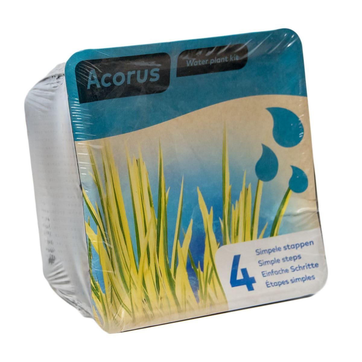 Complete Waterplant Pond Plant Kit - Acorus