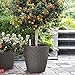 Indoor Outdoor Patio Garden Self Watering Wicker Planter, Raised Flower Herbs Succelents Plant, with Rolling Wheels (Brown)