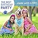 Cloudy Come CoN Dog Birthday Boy Bandana with Paw Print Party Cone Hat and 10 Balloons - Great Dog Birthday Outfit and Decoration Set - Perfect Dog or Puppy Birthday Gift