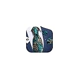 DiBanGu Silk Ties for Men Necktie and Lapel Pin
