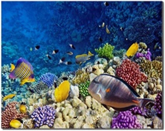wcyljrb pintura al óleo Mundo submarino peces marinos coral piedra