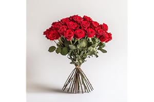 GLOBALROSE 2 Dozen Red Roses- Fresh Flowers- Beautiful Gift for Anniversary, Birthday, Congratulations or Just Because.
