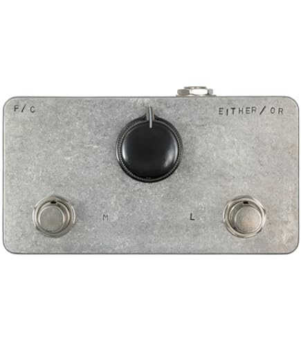 Amazon.com: Fairfield Circuitry Randy's Revenge Ring Modulator