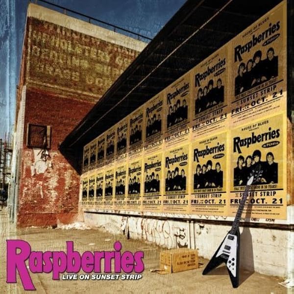 洋楽 RASPBERRIES / POWER POP Volume One & Two 71c2IzfEyXL._UF1000,1000_QL80_.jpg