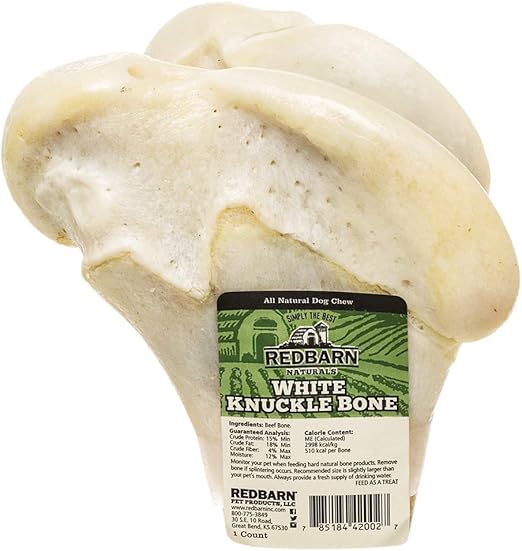 daisy dog breeders near me