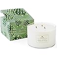 Soap & Paper Factory Roland Pine 18 oz Three-Wick Soy Candle