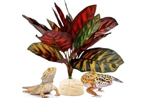 FLmoving Reptile Terrarium Decor Plants,Amphibian Habitat Decor,Artificial Plants for Tank Accessories (Calathea makoyana -B)