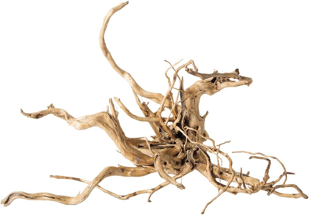 spider wood aquarium