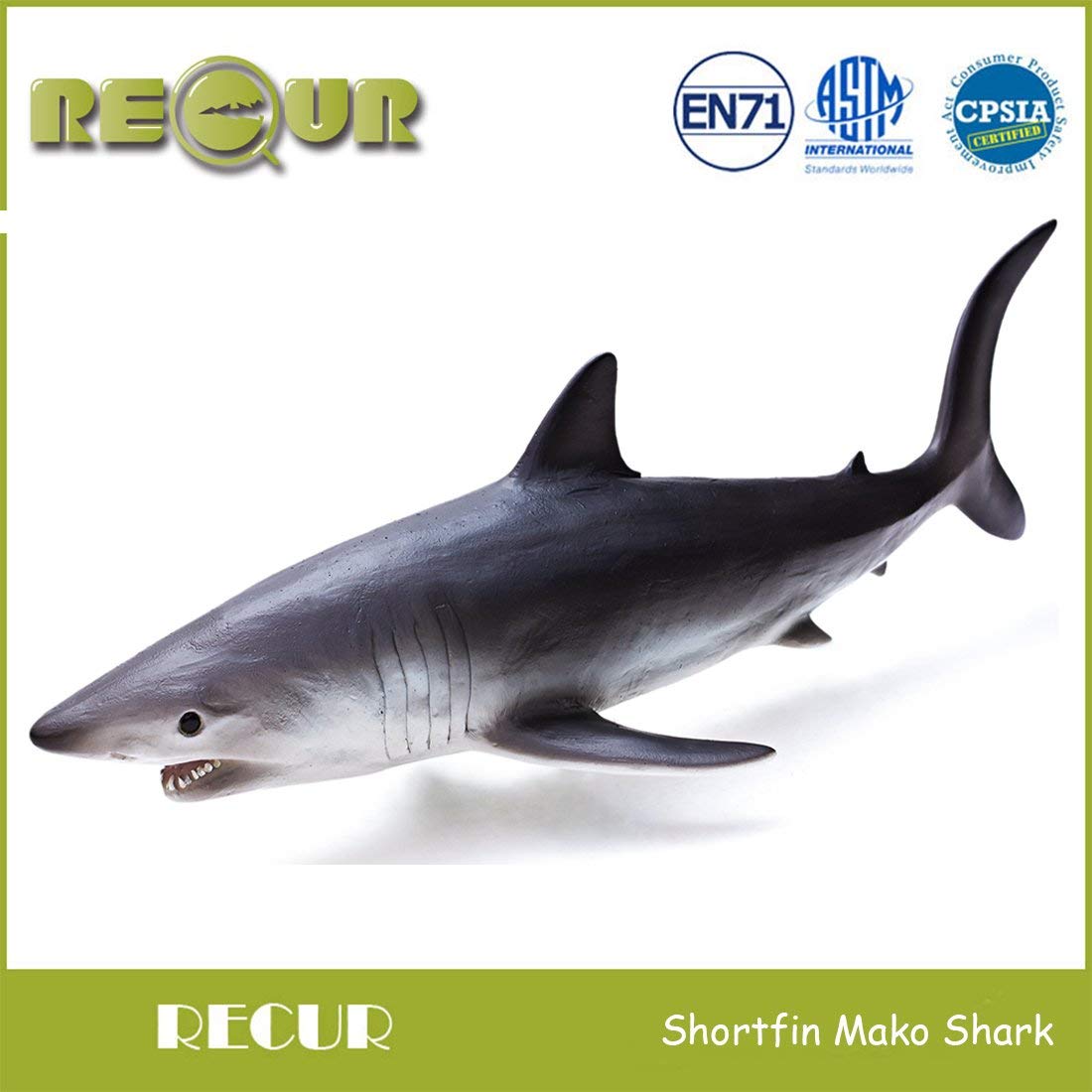 RECUR Shortfin Mako Shark Figure Toys, Authentic Shark Figurine Collection-1:15 Scale Realistic Design Ocean Shark Replica, 10.8inch Hand-Painted Skin Texture, Gift for Collectors Boys Kids, Ages 3+