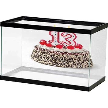 Amazon Com Bybyhome Background Sticker 13th Birthday Cake With