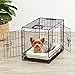 AmazonBasics Double-Door Folding Metal Dog Crate - 22 Inches