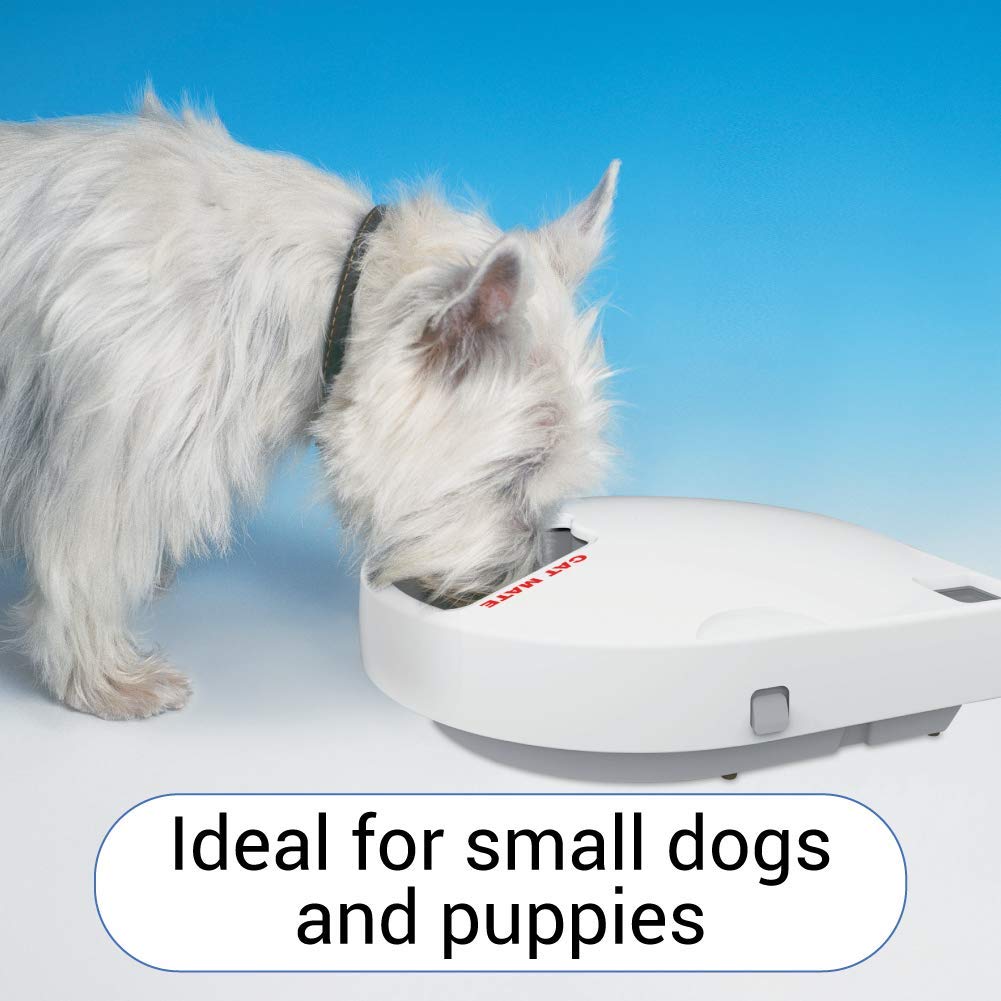 https://images-na.ssl-images-amazon.com/images/I/61NABTJFIKL.jpg