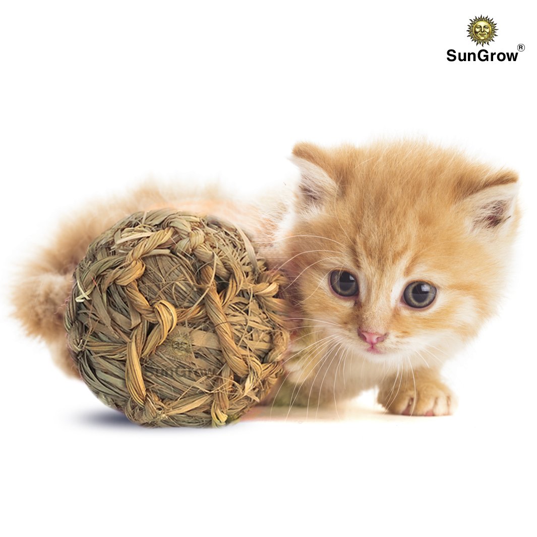 SunGrow Natural Seagrass Ball - Perfect & Safe Chewable Teething Toy for Rabbits, Cats, Hamsters, Gerbils & Birds : Healthy for Your Pet’s Gums & Teeth