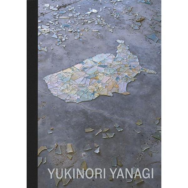 Amazon.com: NITEFLYTE Hiroshi Nagai: 9784835457659: Hiroshi