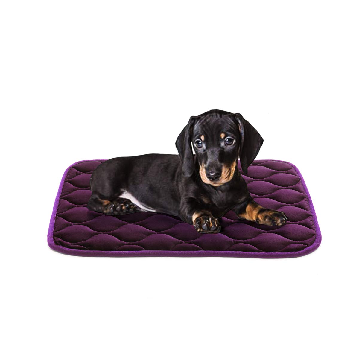 AIPERRO Dog Crate Bed Washable Luxurious Purple Dog Crate
