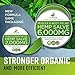 Premium Hemp Balm - Ultra Strong Natural Pain Relief - 6000mg Hemp Extract - Rosemary & Hemp Oil - Anti-Inflammatory for Joint & Muscle, Arthritis Pain - Fast Acting Hemp Salve - Made in USA - Non-GMO