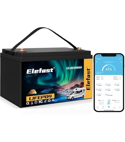 Amazon.com: 12V 100AH Lifepo4 Lithium Battery Built-in 100A BMS