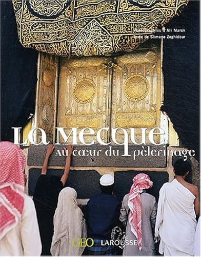 Download La Mecque, au coeur du pèlerinage PDF