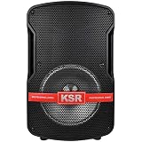 Bafle Amplificado Recargable de 8” con 5,000 W PMPO / 20 W RMS :  Amazon.com.mx: Electrónicos