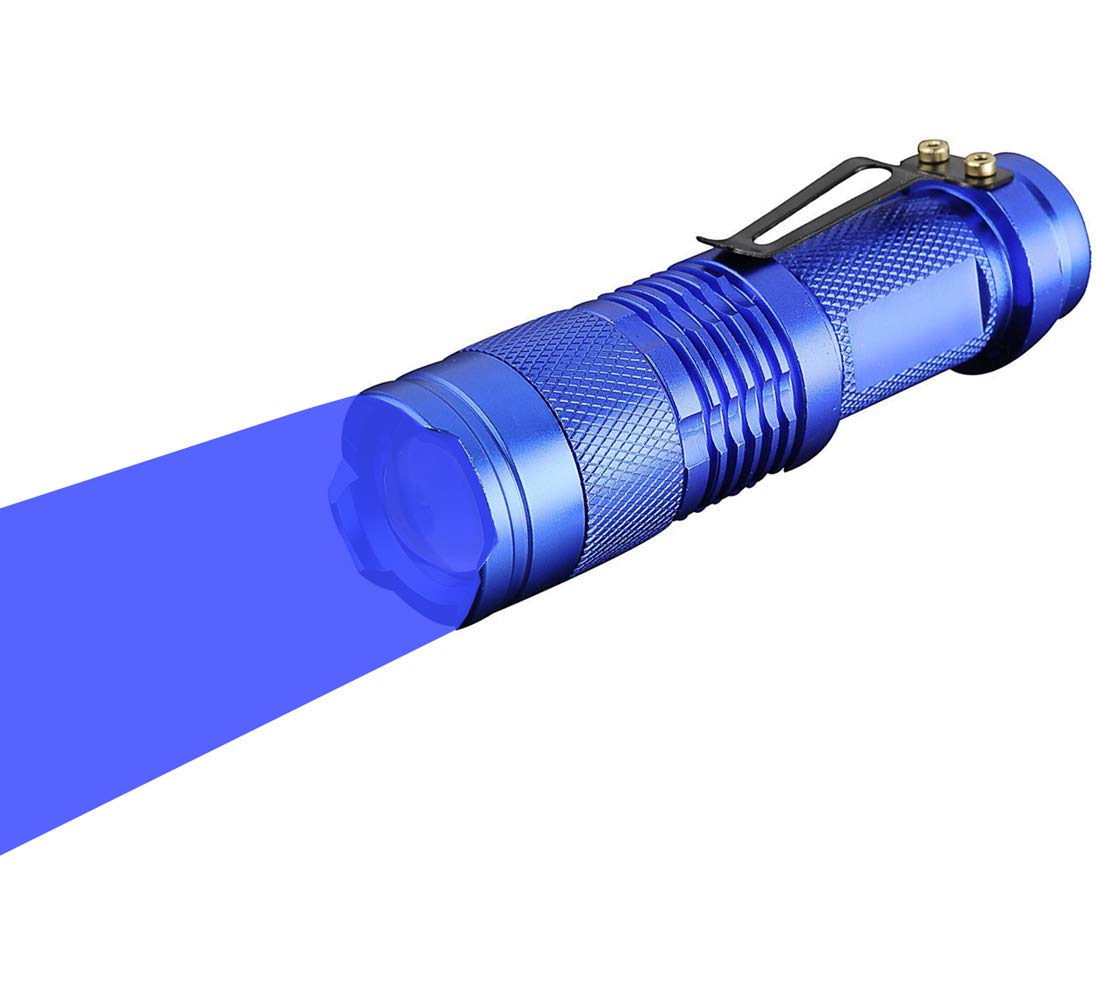 WAYLLSHINE Scalable Blue LED 3 Mode Long Range Blue