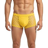 SUMABA Men's Sexy Mesh Underwear Briefs See Through Sheer Boxer Briefs with Pouch