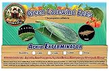 Green Lacewing 2,500 Eggs - Good Bugs - Aphid Exterminator