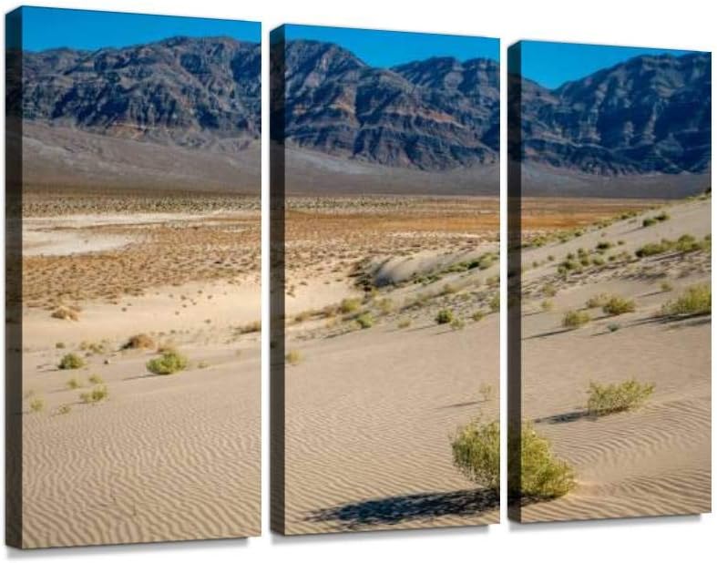 Eureka Valley Sand Dunes, Mountains Background Death Valley National Print On Canvas Wall Artwork Modern Photography Home Decor Unique Pattern Stretched and Framed 3 Piece